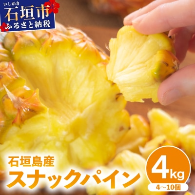 【2026年4月中旬発送】訳あり 石垣島産 スナックパイン 約4kg(4～10個)
