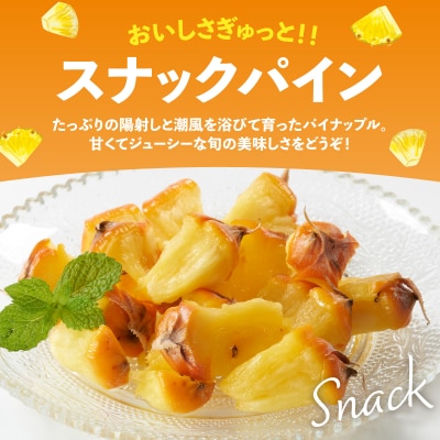 【2026年4月中旬発送】訳あり 石垣島産 スナックパイン 約4kg(4～10個)