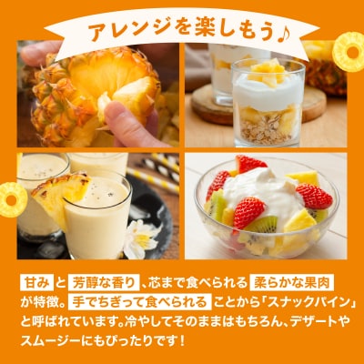 【2026年4月中旬発送】訳あり 石垣島産 スナックパイン 約4kg(4～10個)