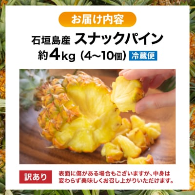 【2026年4月中旬発送】訳あり 石垣島産 スナックパイン 約4kg(4～10個)