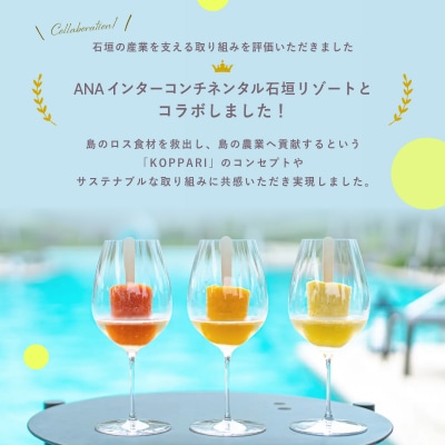 <先行予約>フローズンカットマンゴー400g <2026年6月順次発送>