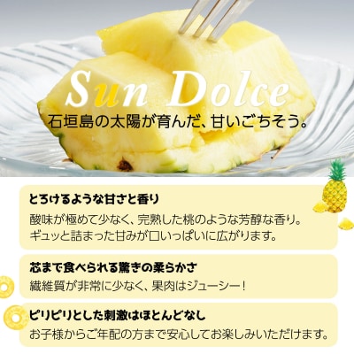 <先行予約> 石垣島産パイナップル サンドルチェ 3玉 (約3kg) <2026年6月上旬順次発送>