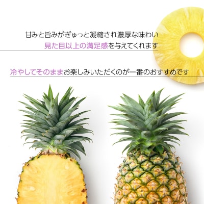 <先行予約> 石垣島産パイナップル サンドルチェ 3玉 (約3kg) <2026年6月上旬順次発送>