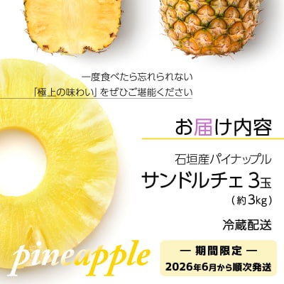 <先行予約> 石垣島産パイナップル サンドルチェ 3玉 (約3kg) <2026年6月上旬順次発送>