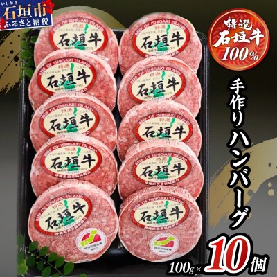 石垣牛 ハンバーグ セット (100g×10個)<2026年7月発送>