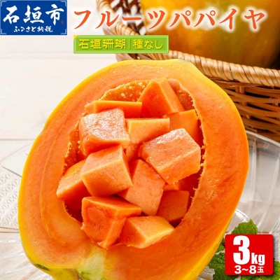 フルーツパパイヤ 3kg 【沖縄県 石垣島産】