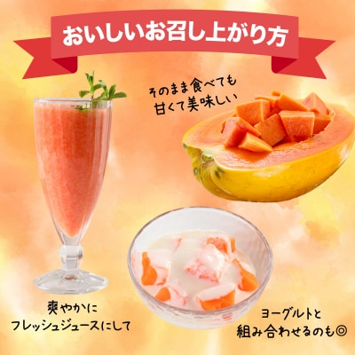フルーツパパイヤ 3kg 【沖縄県 石垣島産】
