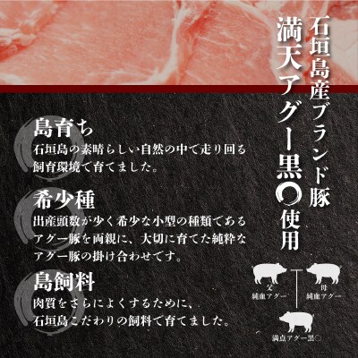 満天アグー ウインナー 200g×4