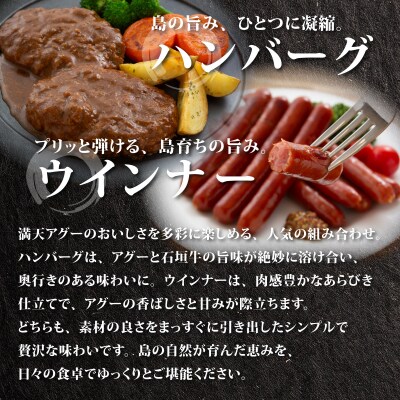 満天アグー 2種セット (ハンバーグ 150g×2 ウインナー 200g×2)
