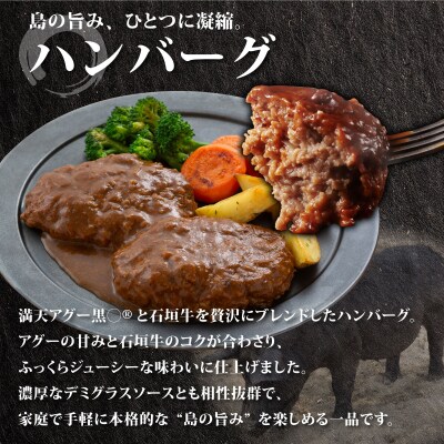 満天アグーと石垣牛のハンバーグ 150g×4