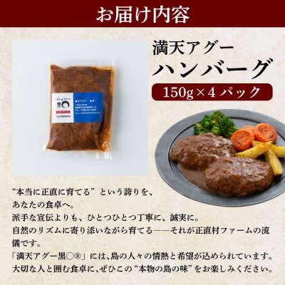 満天アグーと石垣牛のハンバーグ 150g×4