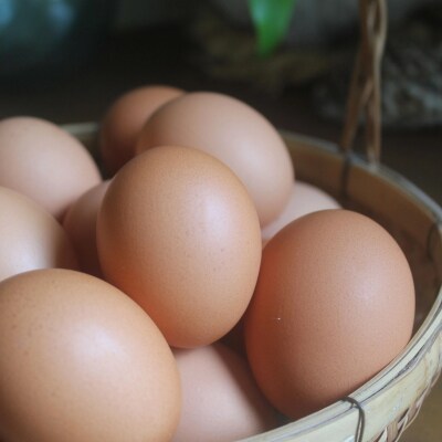 石垣島の卵がたっぷり やさしいプリン 5個セット