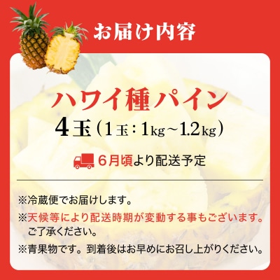 <先行予約> ハワイ種 パイナップル 4玉 <2026年6月発送> | 沖縄県 石垣市 石垣島産 パ