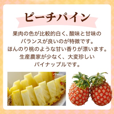 <先行予約> ピーチパイン 4玉 <2026年4月発送> | 沖縄県 石垣市 石垣島産 パイン パイ