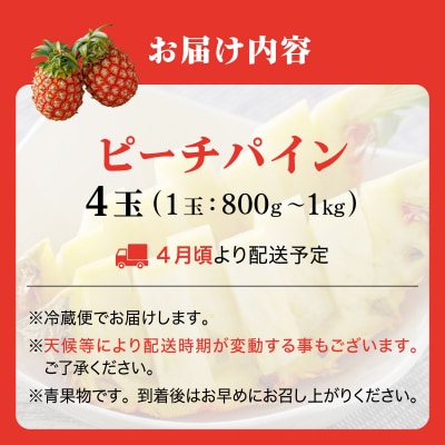 <先行予約> ピーチパイン 4玉 <2026年4月発送> | 沖縄県 石垣市 石垣島産 パイン パイ