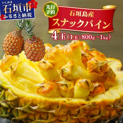 <先行予約> スナックパイン 4玉 <2026年4月発送> | 沖縄県 石垣市 石垣島産 パイン パ