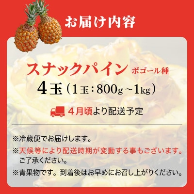<先行予約> スナックパイン 4玉 <2026年4月発送> | 沖縄県 石垣市 石垣島産 パイン パ