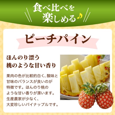 <先行予約> ピーチパイン スナックパイン 各2玉セット <2026年4月発送> | 沖縄県 石垣市