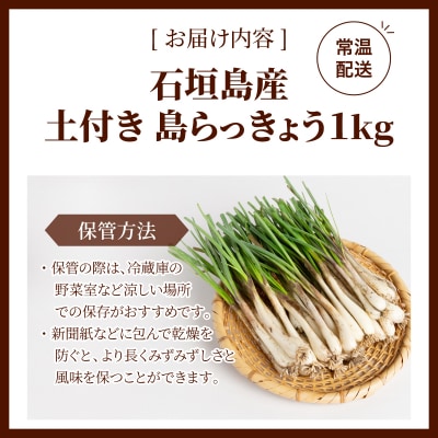 石垣島産 土付き 島らっきょう 1kg (石垣市島らっきょうの会 協同出荷) 