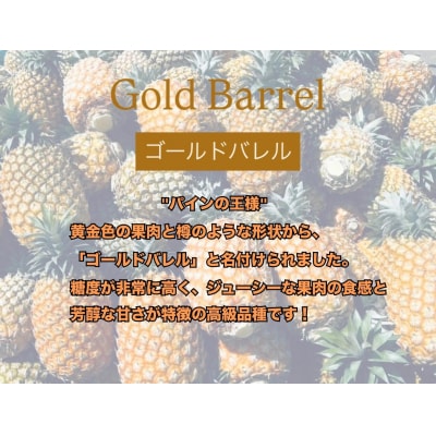 <先行予約> 農家直送!石垣島産 ゴールドバレル 2個セット 約3.5kg<2026年4月中旬発送>