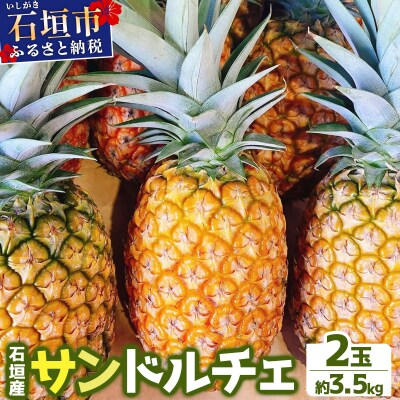 <先行予約> 農家直送!石垣島産サンドルチェ 2個セット 約3.5kg <2026年4月中旬発送>
