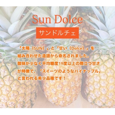 <先行予約> 農家直送!石垣島産サンドルチェ 2個セット 約3.5kg <2026年4月中旬発送>
