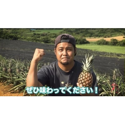 <先行予約> 農家直送!石垣島産サンドルチェ 2個セット 約3.5kg <2026年4月中旬発送>