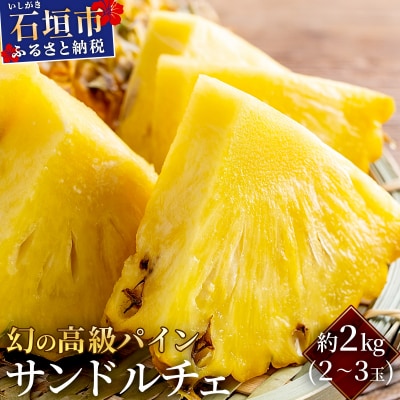 石垣島産 高級パイン サンドルチェ 約2kg (2～3玉) JAおきなわ <2026年6月順次発送>