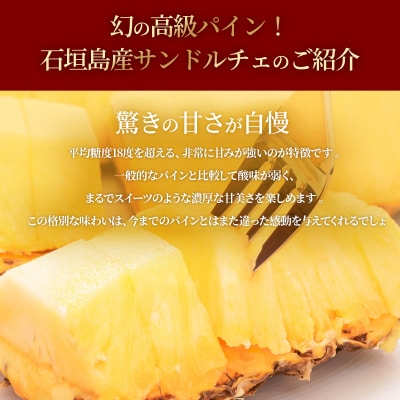 石垣島産 高級パイン サンドルチェ 約2kg (2～3玉) JAおきなわ <2026年6月順次発送>