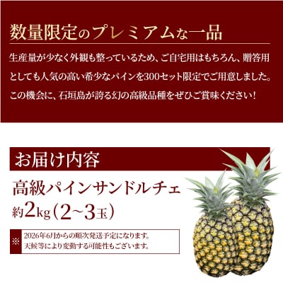 石垣島産 高級パイン サンドルチェ 約2kg (2～3玉) JAおきなわ <2026年6月順次発送>