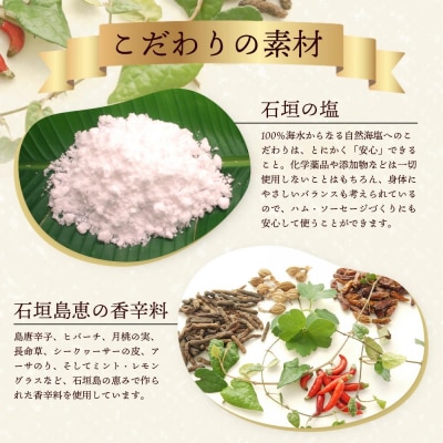 石垣島「十五番地」の手作りハム・ソーセージ ギフトセットC(パーティーセット5種)