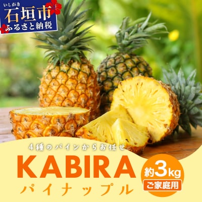 KABIRAパイナップル 訳ありご家庭用 約3kg 4種のパインからお任せ 2026年6月から発送