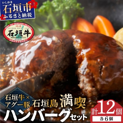 石垣牛×アグー豚(南ぬ豚)石垣島満喫ハンバーグセット(各6個 計12個)