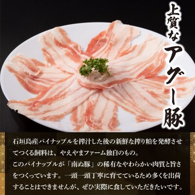 石垣牛×アグー豚(南ぬ豚)石垣島満喫ハンバーグセット(各6個 計12個)