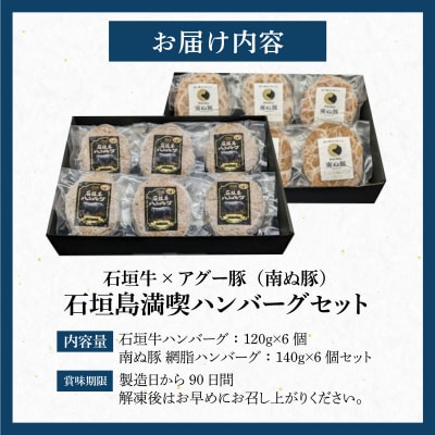 石垣牛×アグー豚(南ぬ豚)石垣島満喫ハンバーグセット(各6個 計12個)