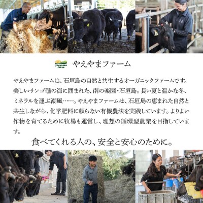 石垣牛×アグー豚(南ぬ豚)石垣島満喫切落しセット(各1kg 計2kg)