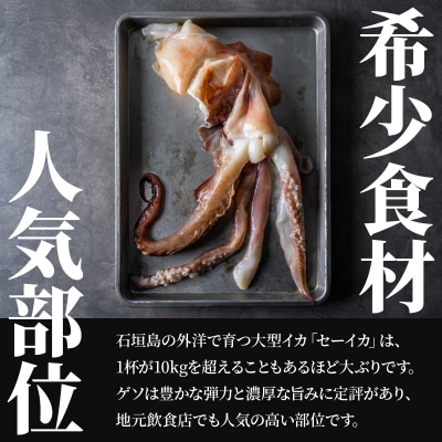 <訳あり> 石垣島産 セーイカの極上げそ 300g×3パック 加熱用 GK-005