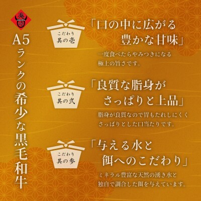 美崎牛 特選上カルビ 300g