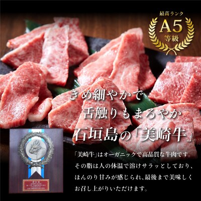美崎牛 もも肉ステーキ 150g×3枚