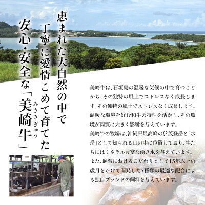 美崎牛 もも肉ステーキ 150g×3枚