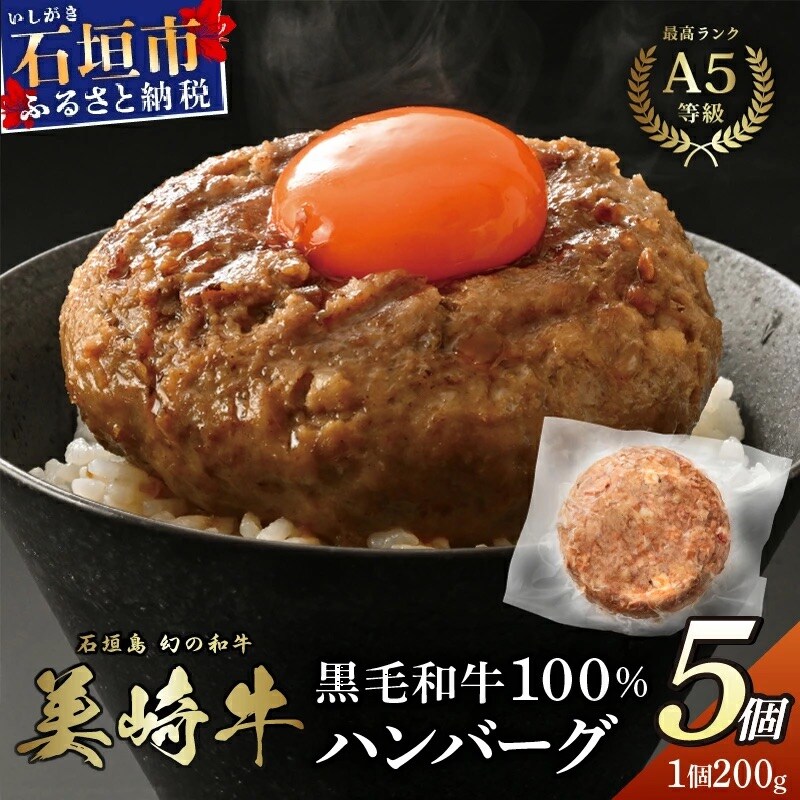 美崎牛 100% ハンバーグ 200g×5個