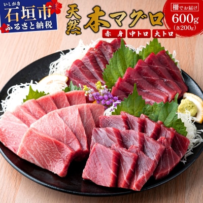 【数量限定】石垣島産 天然本マグロ 600g (まぐろ赤身・中トロ・大トロのミックスセット) 