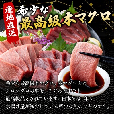 【数量限定】石垣島産 天然本マグロ 600g (まぐろ赤身・中トロ・大トロのミックスセット) 