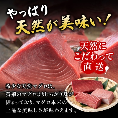 【数量限定】石垣島産 天然本マグロ 600g (まぐろ赤身・中トロ・大トロのミックスセット) 