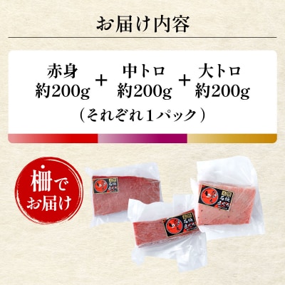 【数量限定】石垣島産 天然本マグロ 600g (まぐろ赤身・中トロ・大トロのミックスセット) 