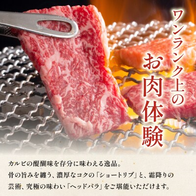 石垣島産黒毛和牛 新里牛 カルビ焼肉 ナカバラ (200g×2) 計400g