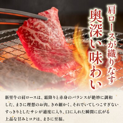 石垣島産黒毛和牛 新里牛 焼肉 肩ロース (200g×2) 合計400g