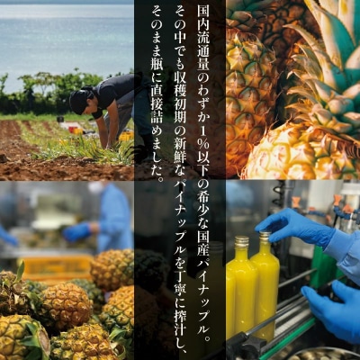 石垣島産パイナップルジュース100%直充 900ml E-038