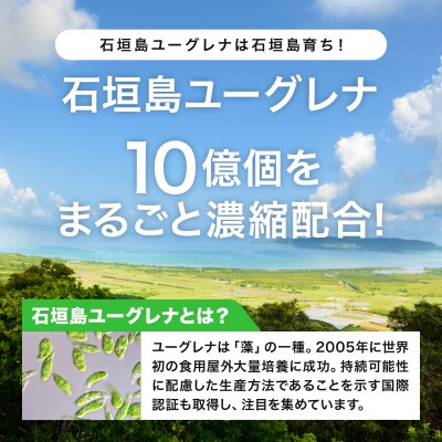 【定期便】《3ヶ月》からだにユーグレナ グリーンスムージー乳酸菌 (195g×15本×3回) 