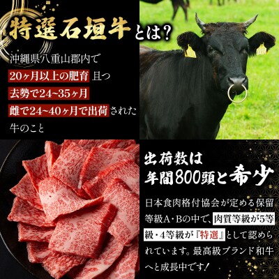 A5ランク 特選 石垣牛 100%使用 ごちそうミンチ 300g 2パック 計600g 